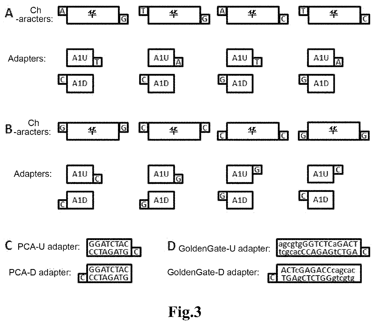 Method for using DNA to store text information, decoding method therefor and application thereof