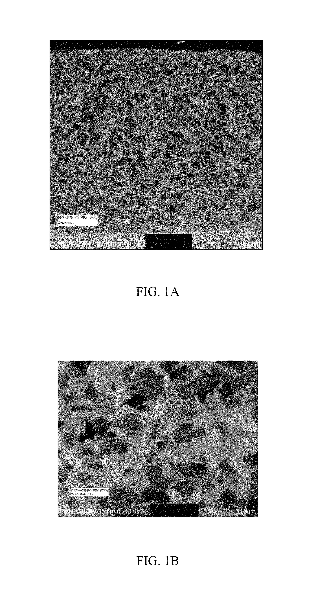 Hydrophilic block copolymers and membranes prepared therefrom (II)