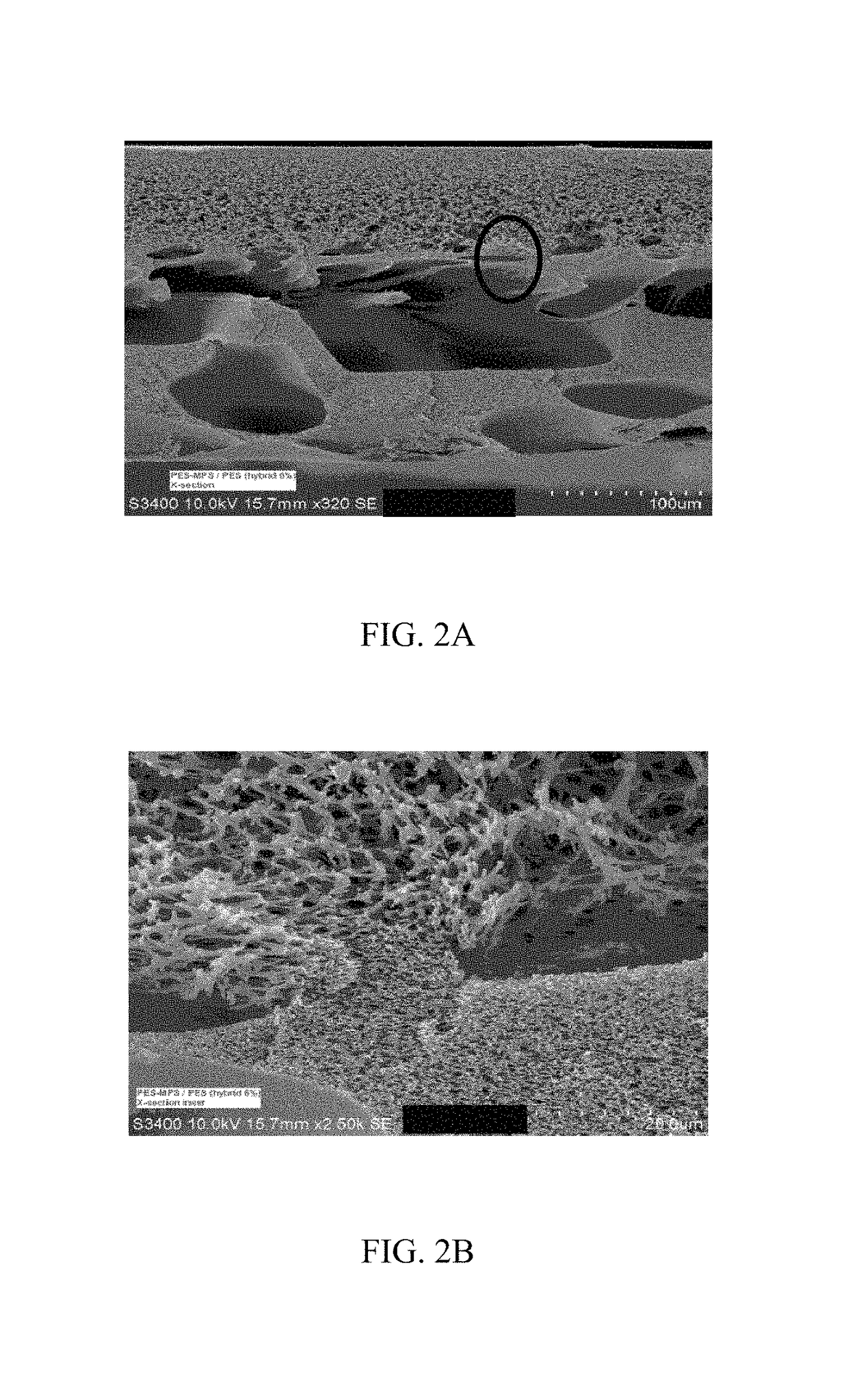 Hydrophilic block copolymers and membranes prepared therefrom (II)