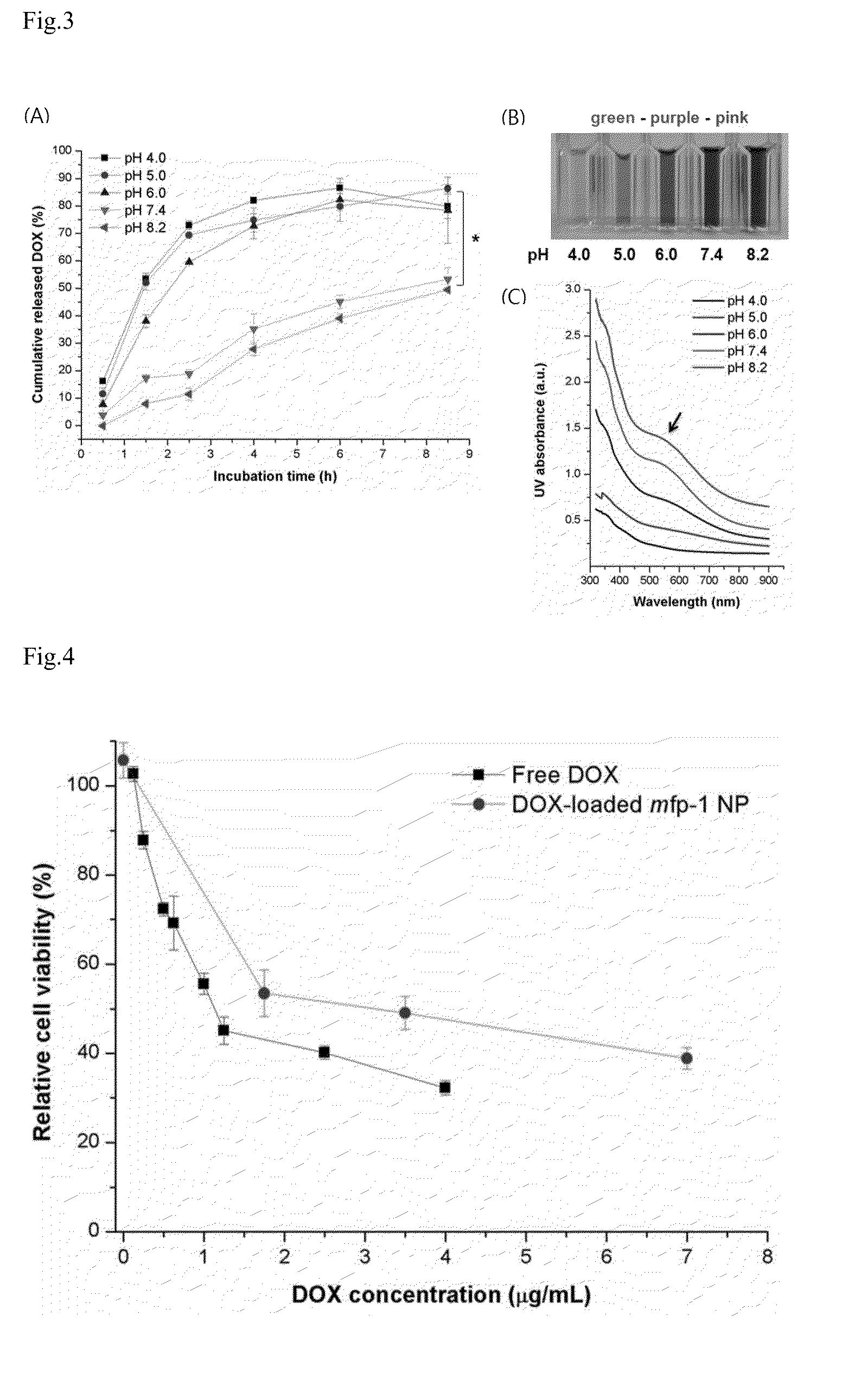 Ph-responsive nanoparticle using mussel adhesive protein for drug delivery and method for preparing the same