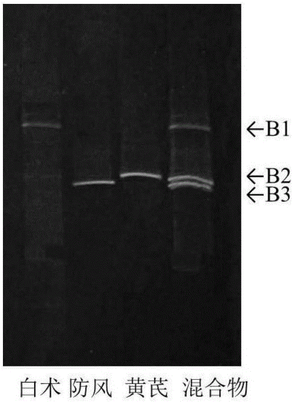 Method for identifying composition species of mixed traditional Chinese medicine powder by utilizing denaturing gradient gel electrophoresis (DGGE)