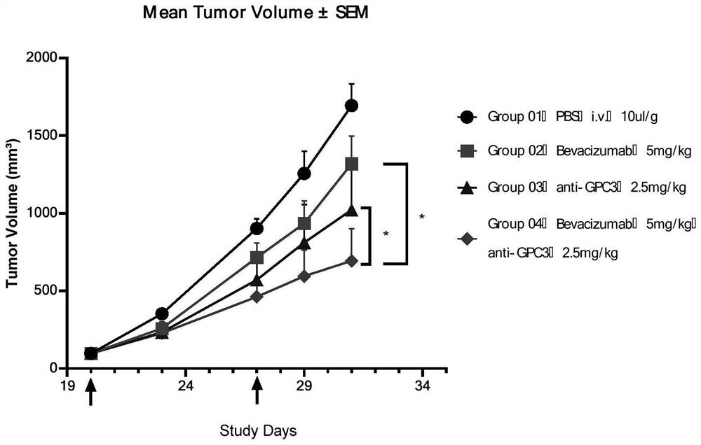 Anti-GPC3 antibody and pharmaceutical composition containing anti-GPC3 antibody