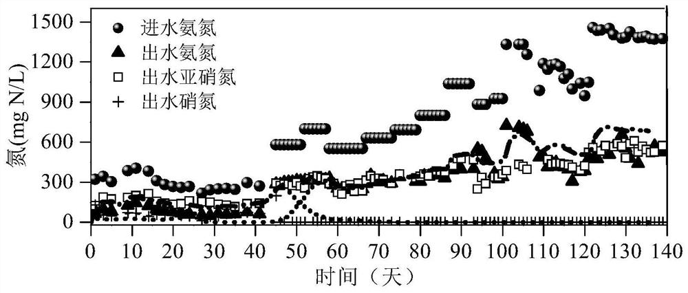 Treatment system and treatment method for preparing ammonium nitrate