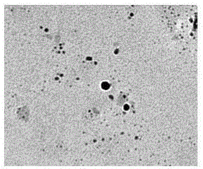 A kind of preparation method of polysaccharide-based silver nanoparticles