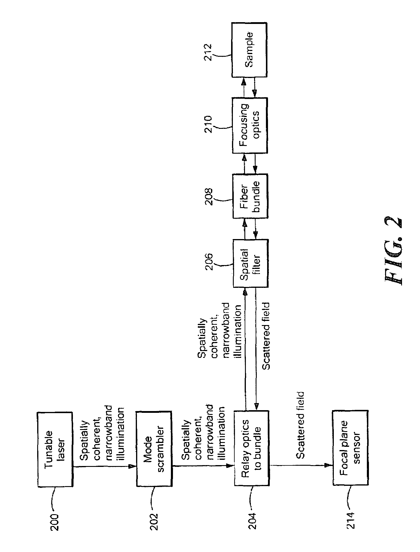 Volumetric endoscopic coherence microscopy using a coherent fiber bundle