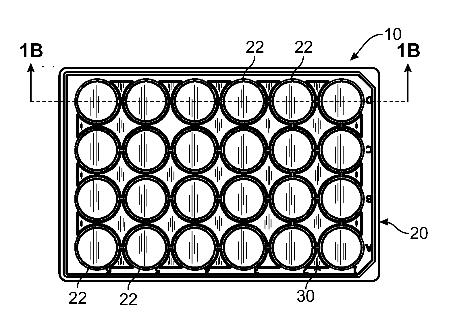 Culture plate with fiber-coated bottom surface