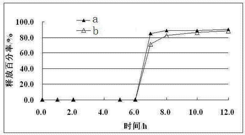 Ginkgol biloba extract delayed pulse capsule and quality control method thereof