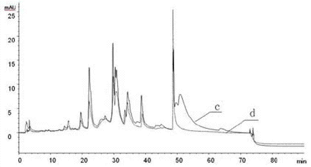 Ginkgol biloba extract delayed pulse capsule and quality control method thereof