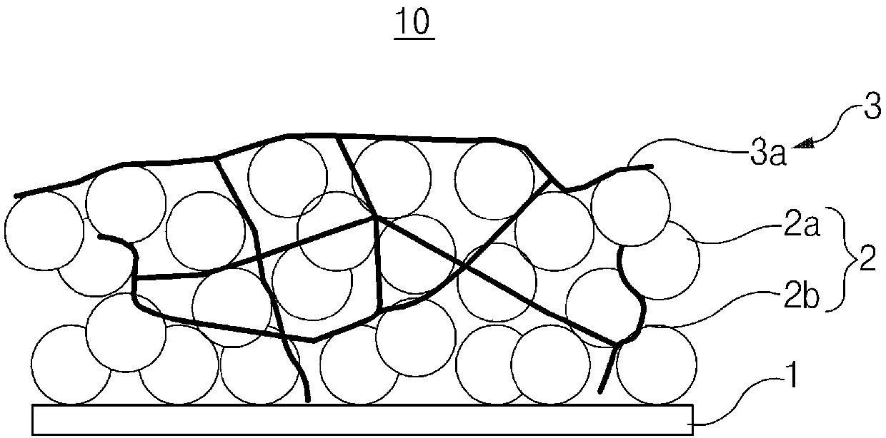 Cathode for secondary battery and secondary battery comprising same