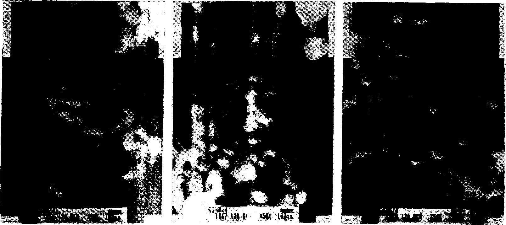 Method for preparing nanometer zero-valent iron grain using improved liquid phase reduction method