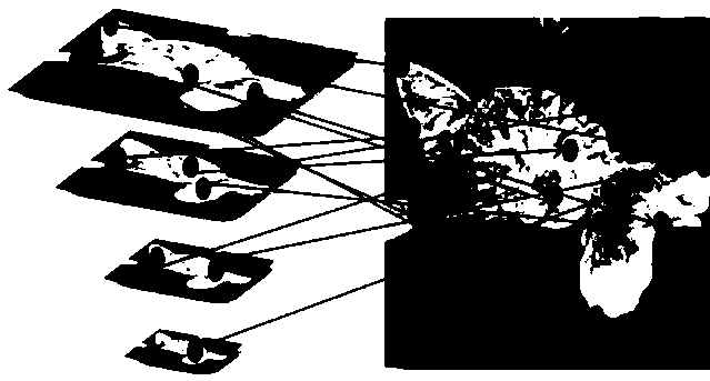 Optimization algorithm of unmarked flat object recognition