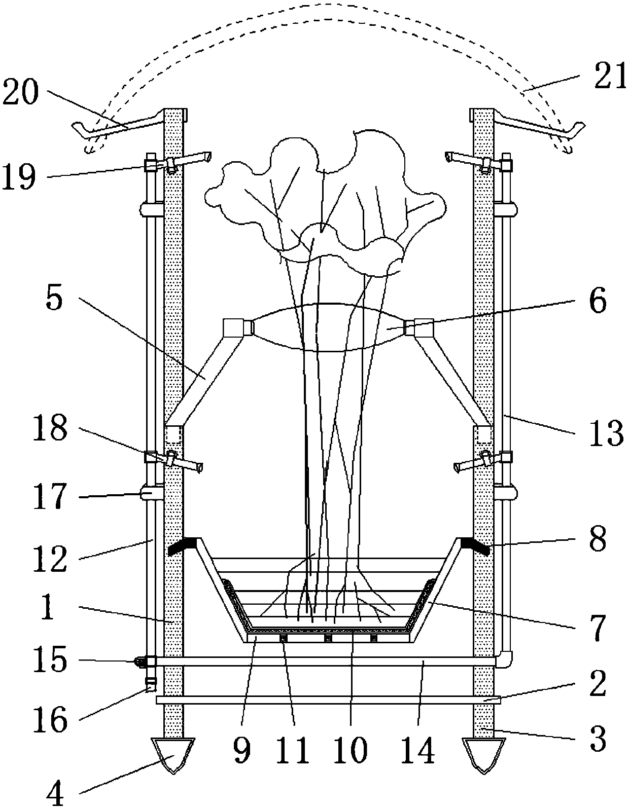 Pre-assisted Chinese yew seedling planting and watering device