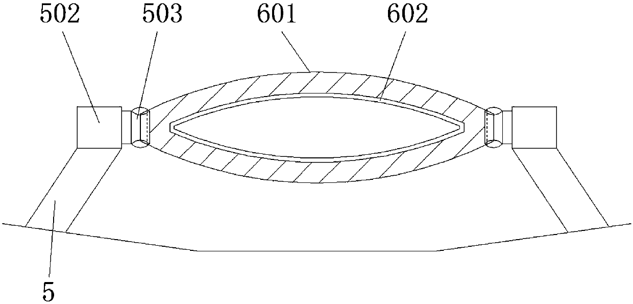 Pre-assisted Chinese yew seedling planting and watering device