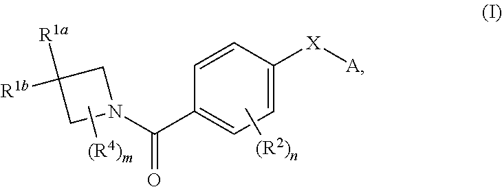 Novel n-(4-(azetidine-1-carbonyl) phenyl) - (hetero-) arylsulfonamide derivatives as pyruvate kinase m2 (PMK2) modulators