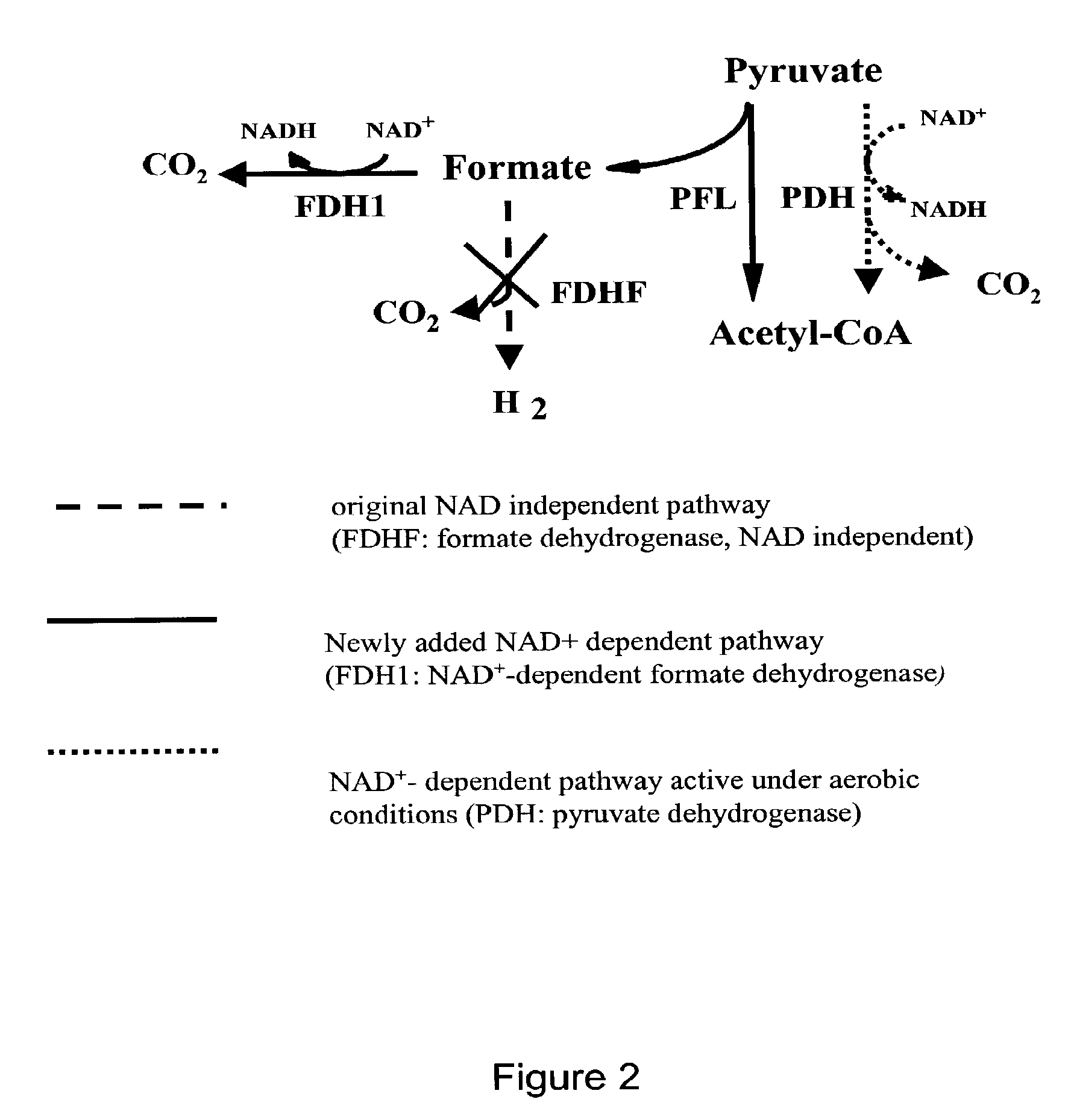 Recycling system for manipulation of intracellular NADH availability