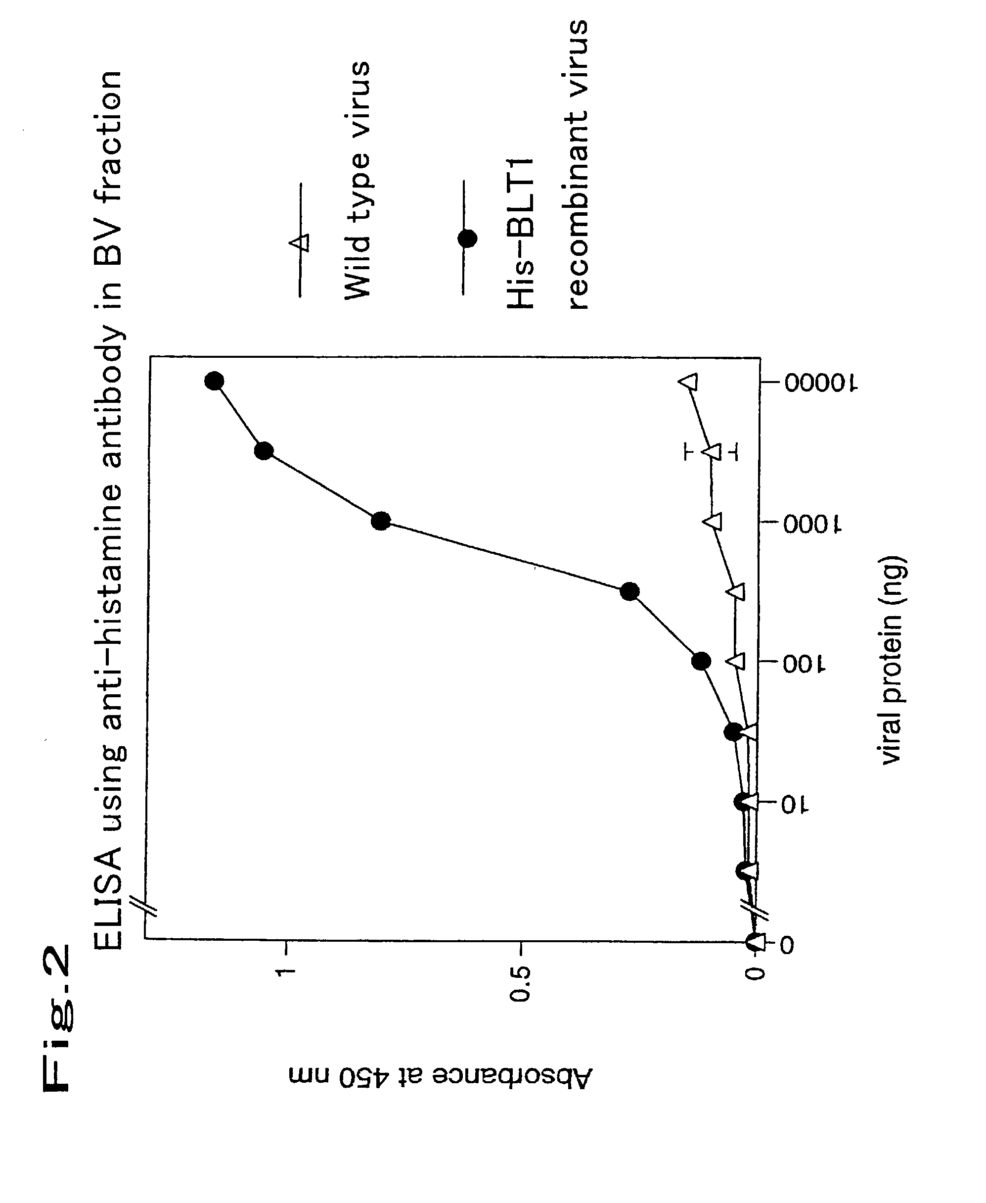 Method for expressing a functional membrane-bound receptor protein using budded baculovirus