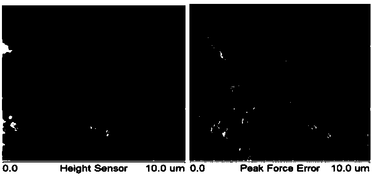 AFM(atomic force microscope)-based method for testing surface roughness of aggregate