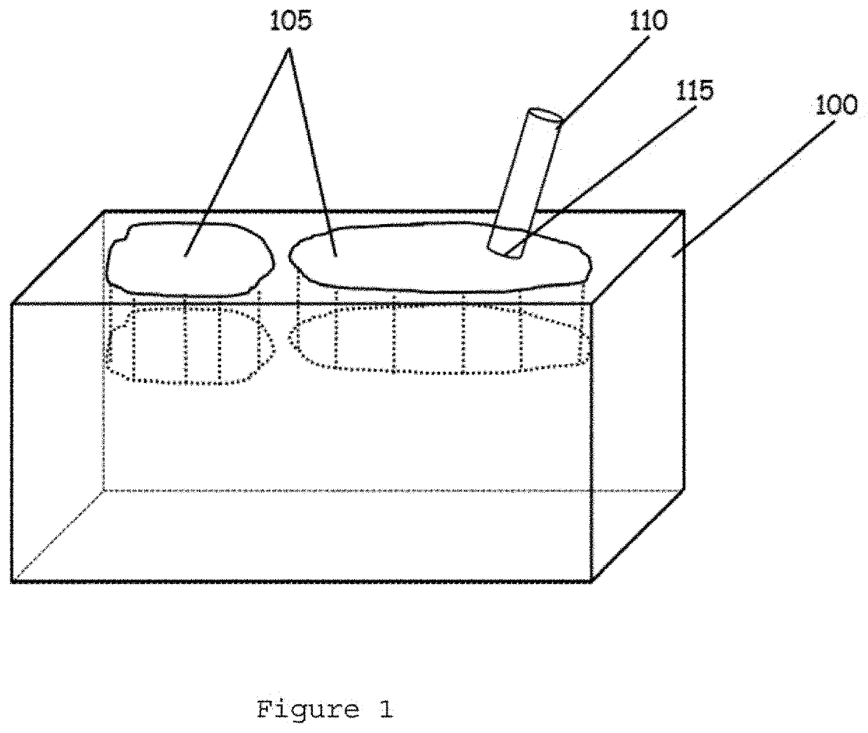 Tissue array using a carrier medium and method for providing the same