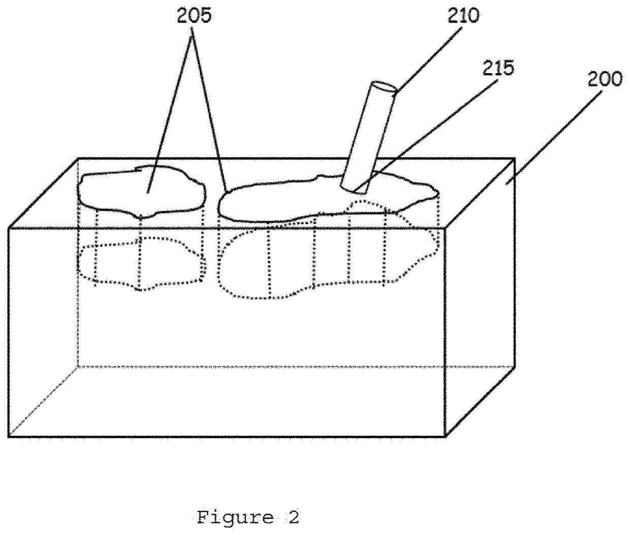 Tissue array using a carrier medium and method for providing the same