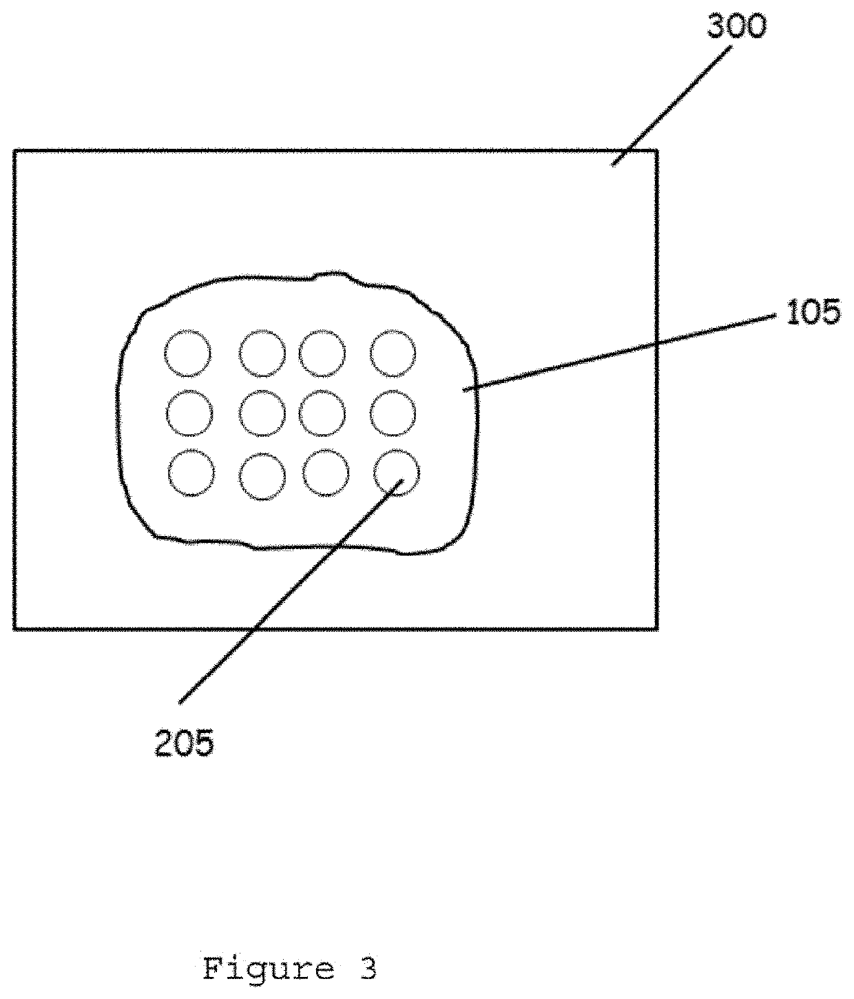 Tissue array using a carrier medium and method for providing the same