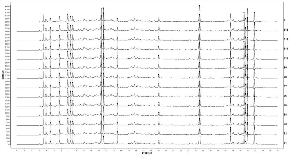 Method for detecting fingerprint spectrum of medicinal preparation