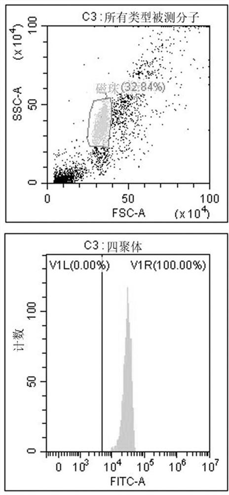 Tumor neoantigen epitope peptide and its application