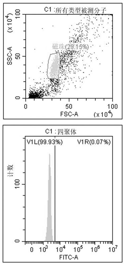 Tumor neoantigen epitope peptide and its application