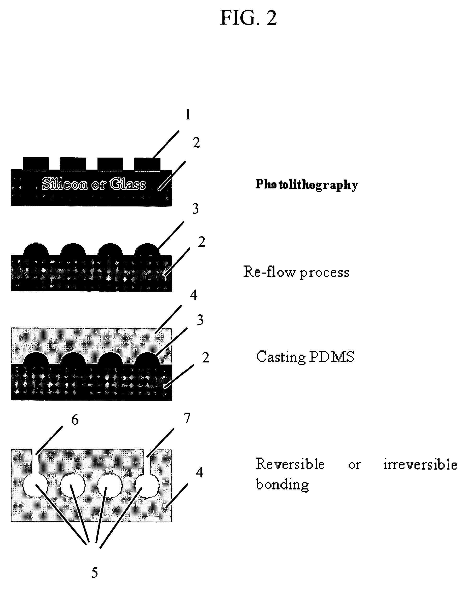 Synthetic microfluidic microvasculature network