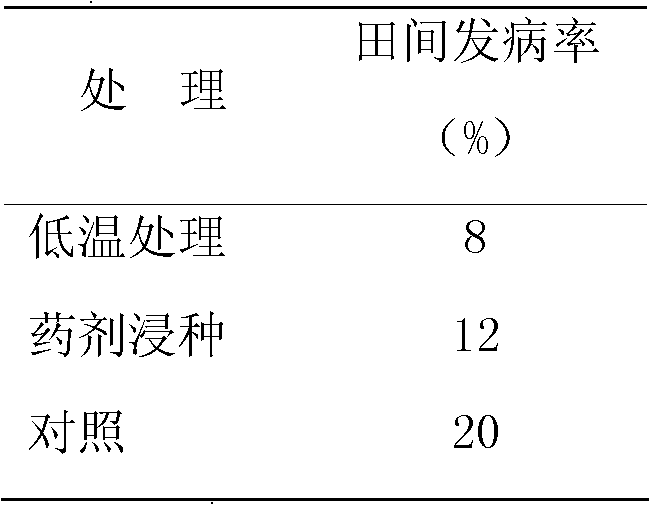 Method for preventing konjak soft rot