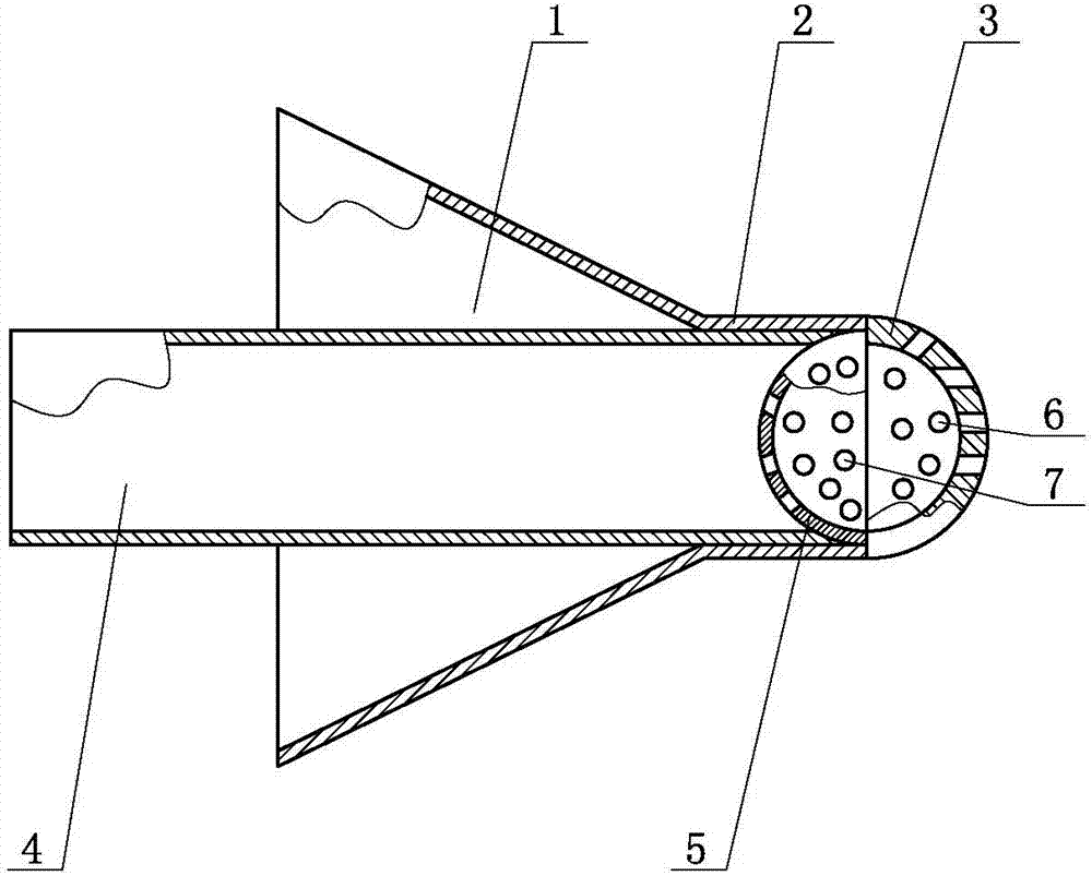 A kind of slimming capsule and preparation method thereof