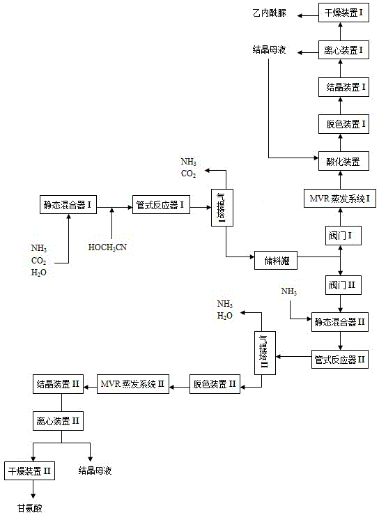 Method for co-producing glycine and hydantoin, and apparatus thereof