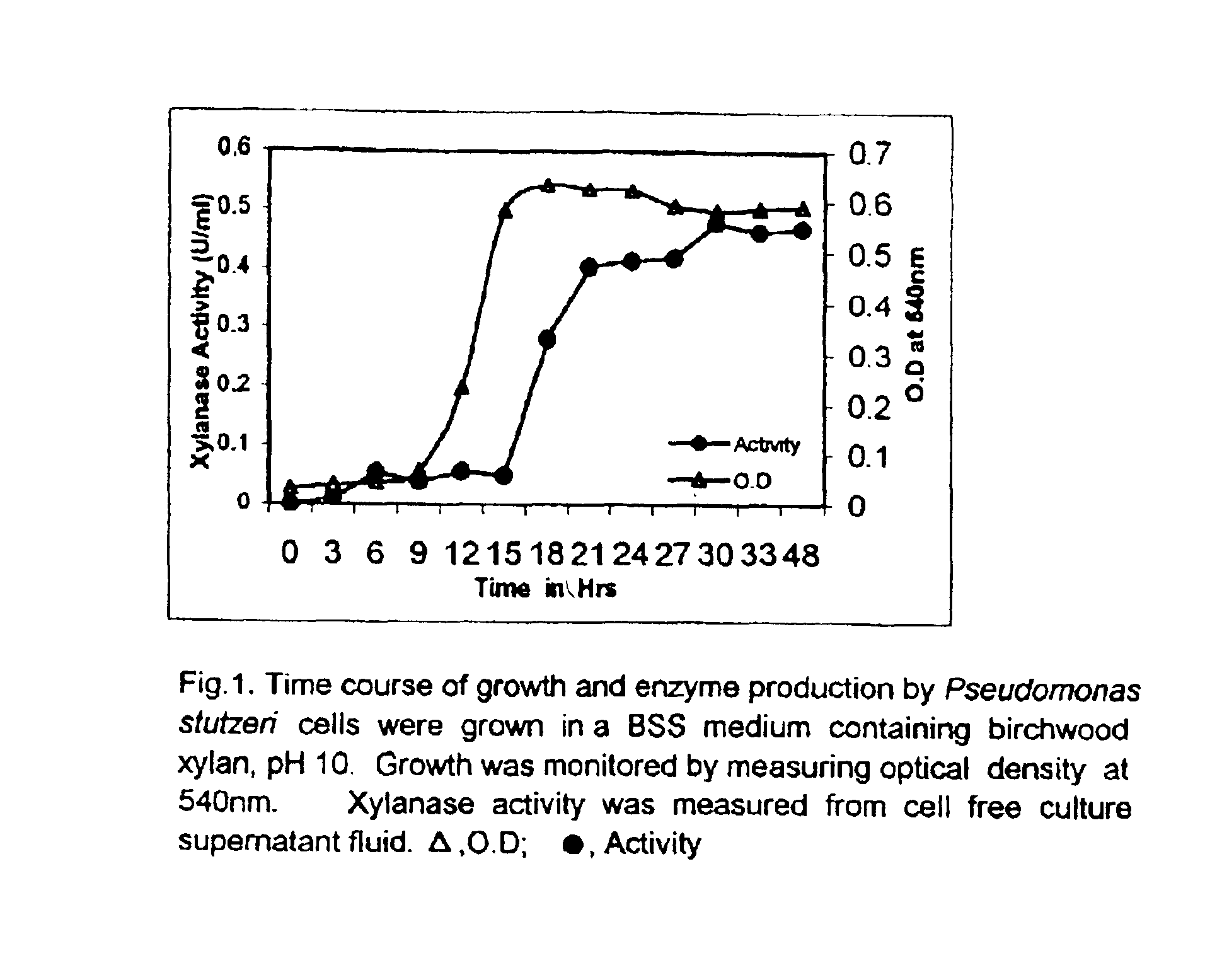 'Pseudomonas stutzeri' strain and process for preparation of xylanase