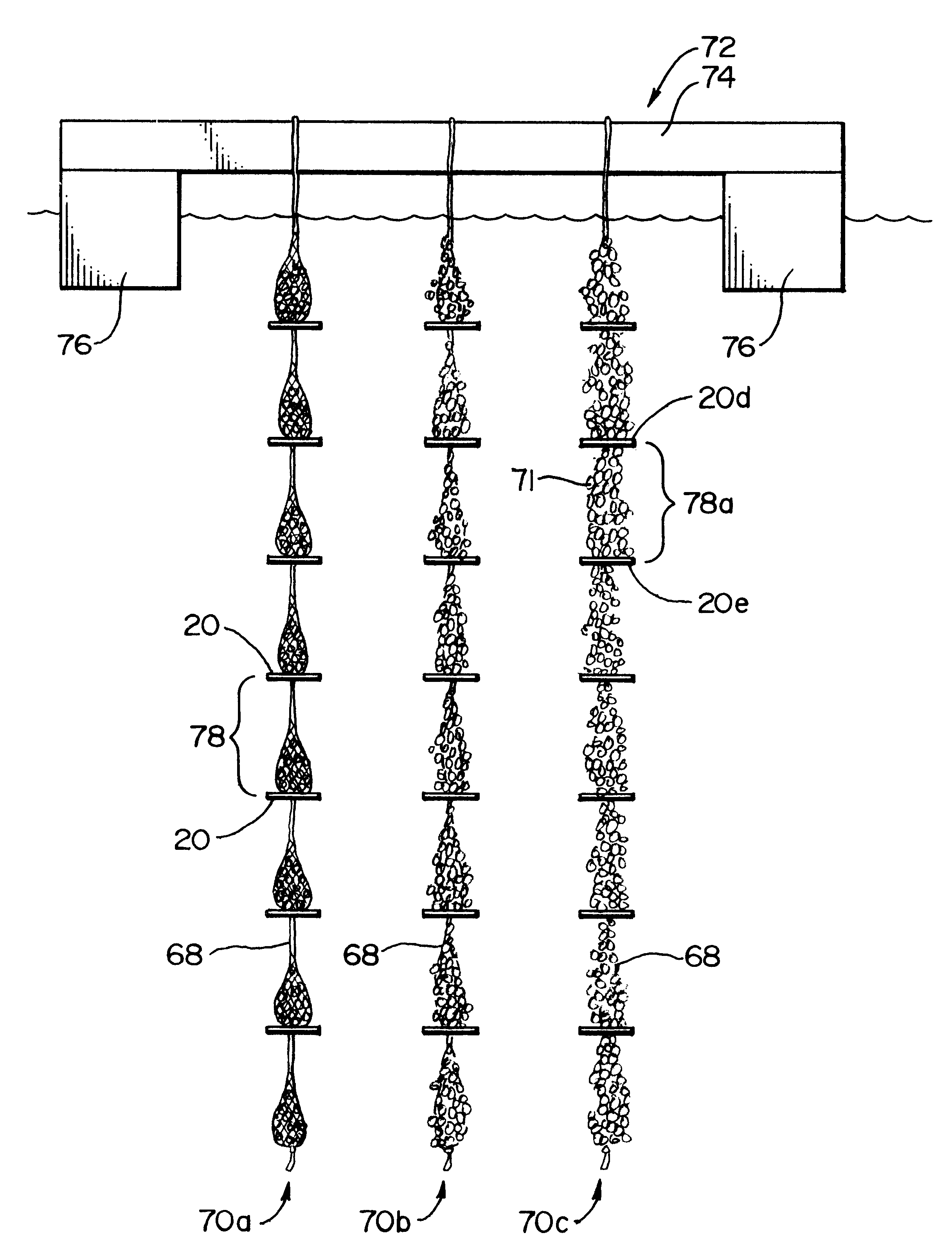 Method and apparatus for supporting aquacultured mussels