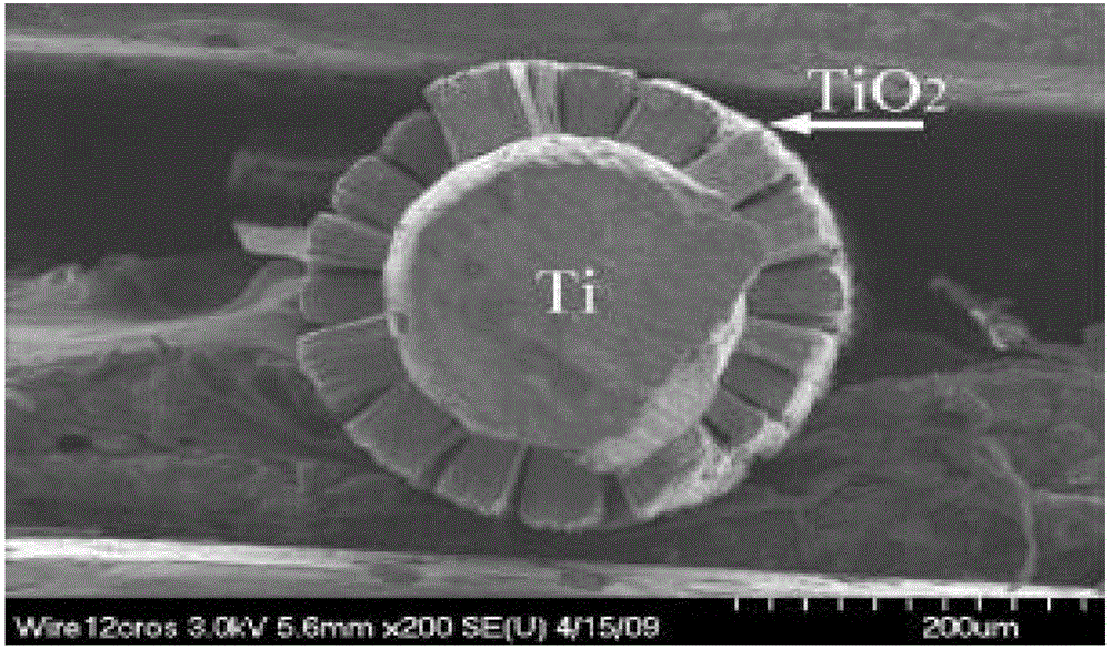 TiO2 nano particle/TiO2 nanotube array and application thereof