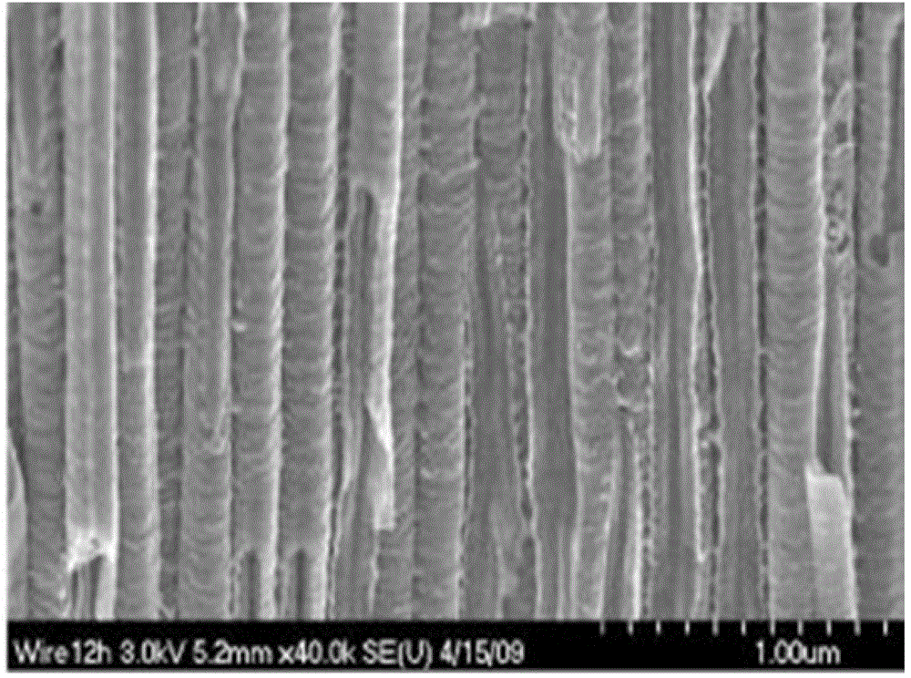 TiO2 nano particle/TiO2 nanotube array and application thereof