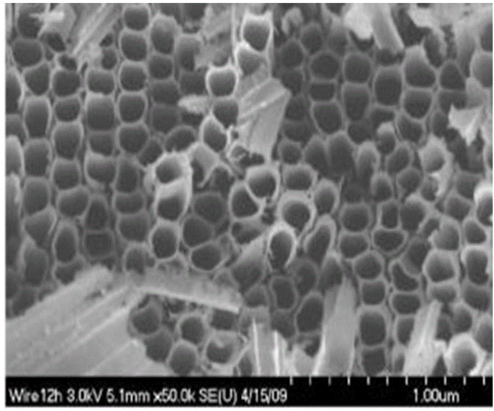 TiO2 nano particle/TiO2 nanotube array and application thereof