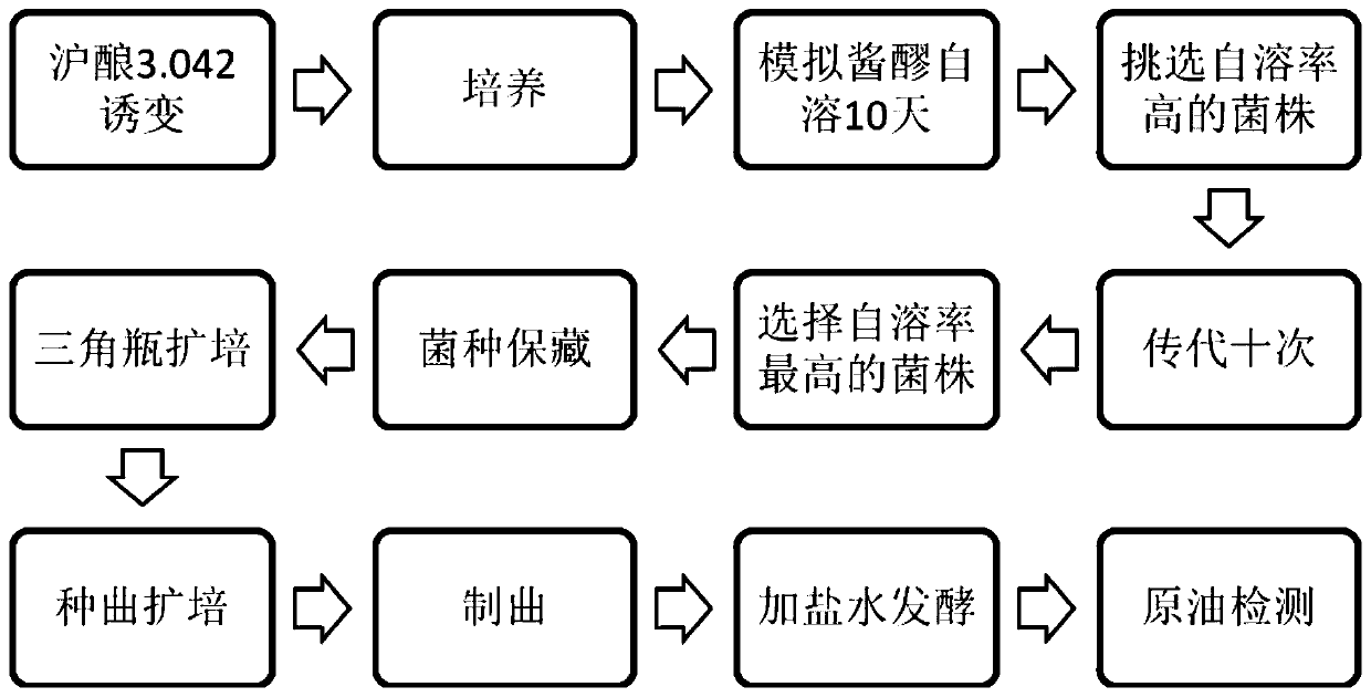 A Aspergillus oryzae za116 strain and its application