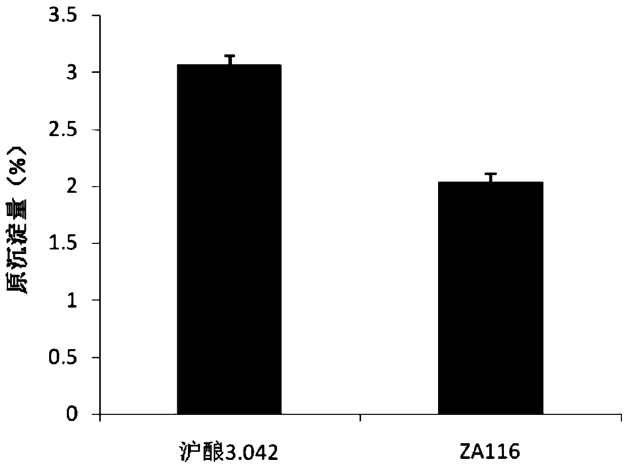 A Aspergillus oryzae za116 strain and its application