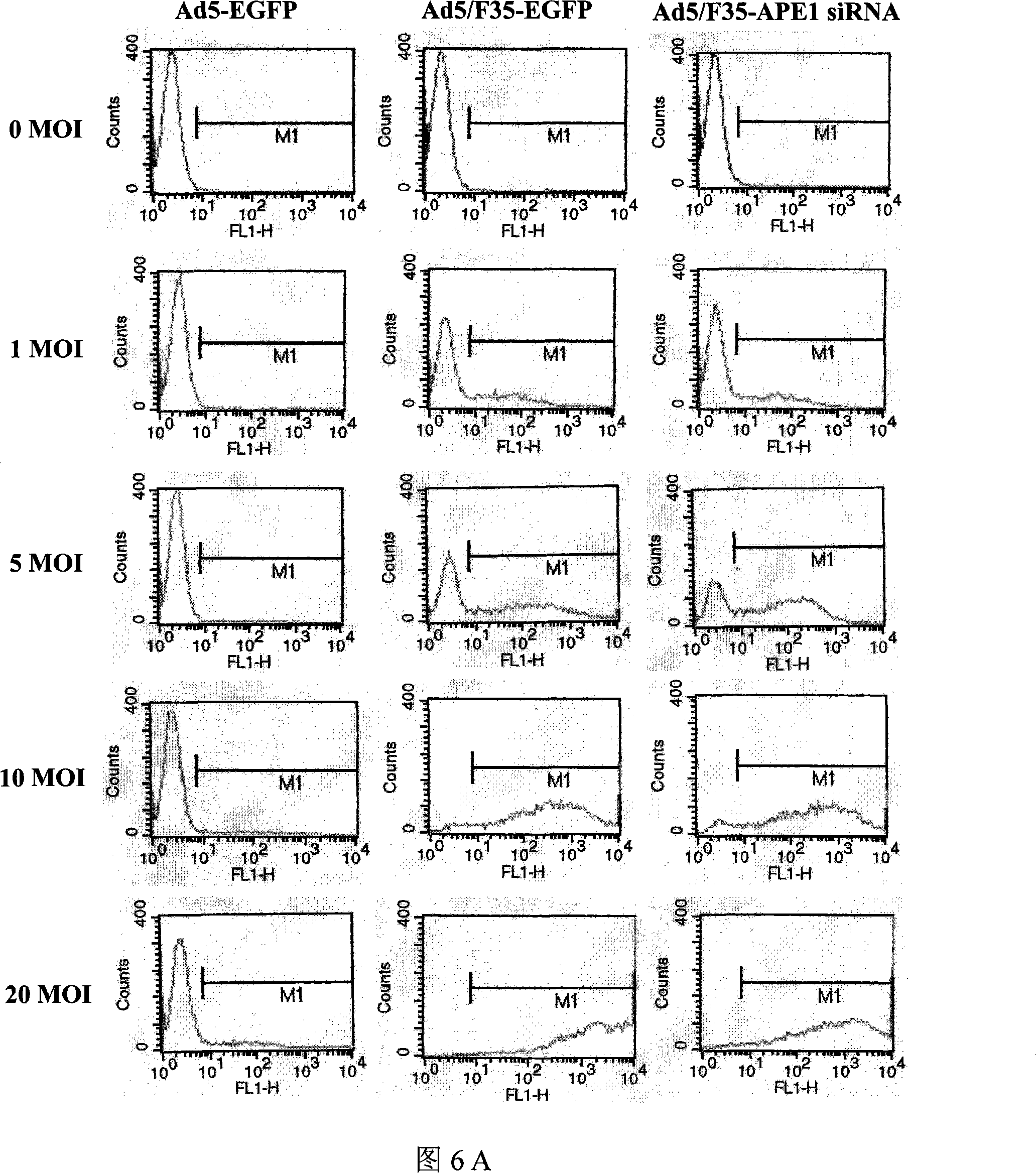 Method for constructing replication defect type recombination adenovirus