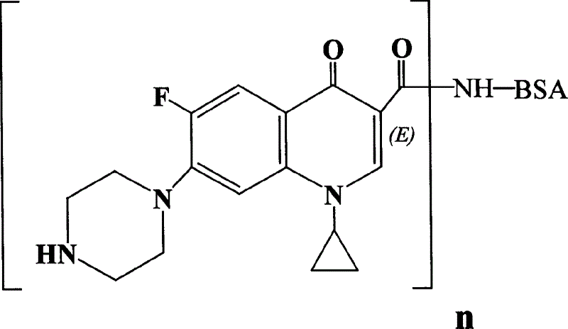 Immunogen of cycloproply thaastral and preparation process thereof