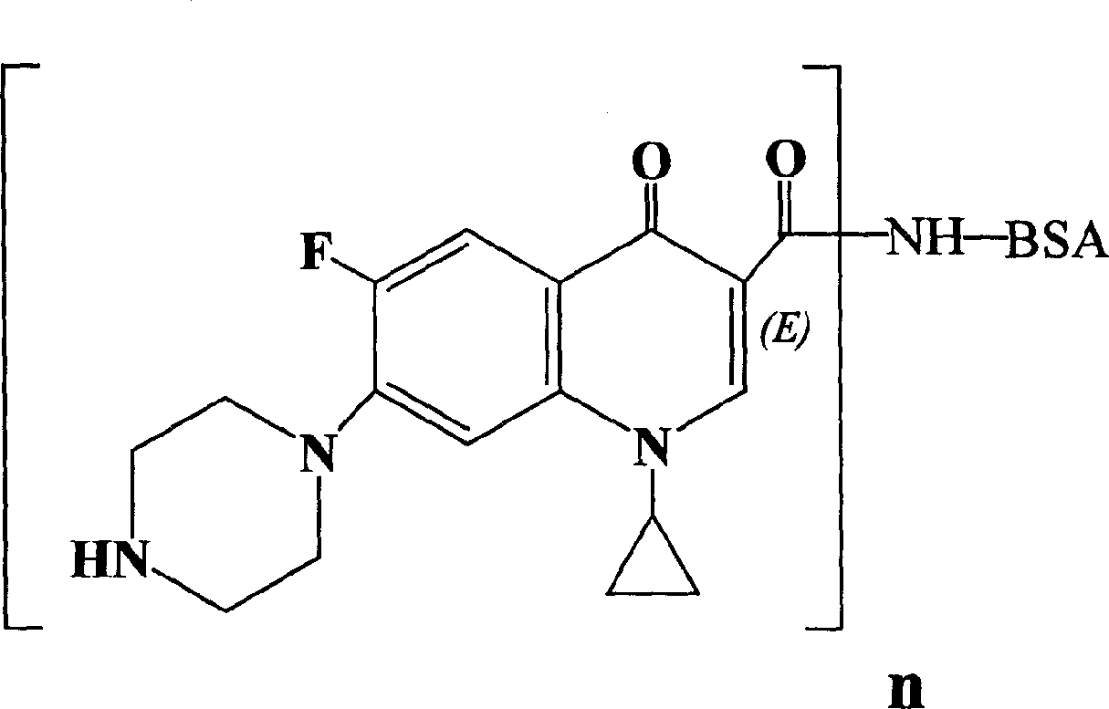 Immunogen of cycloproply thaastral and preparation process thereof