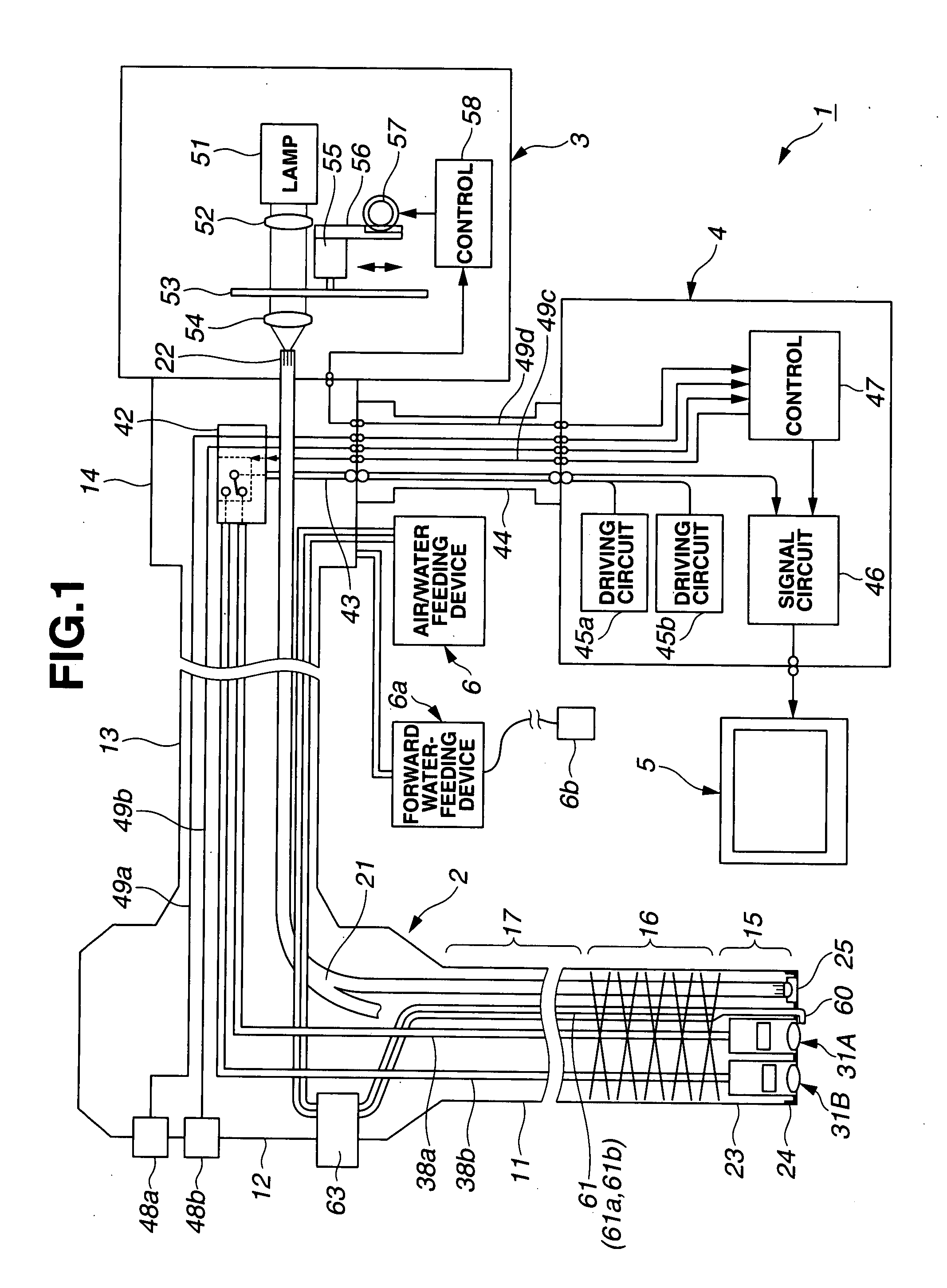 Endoscope insertion portion