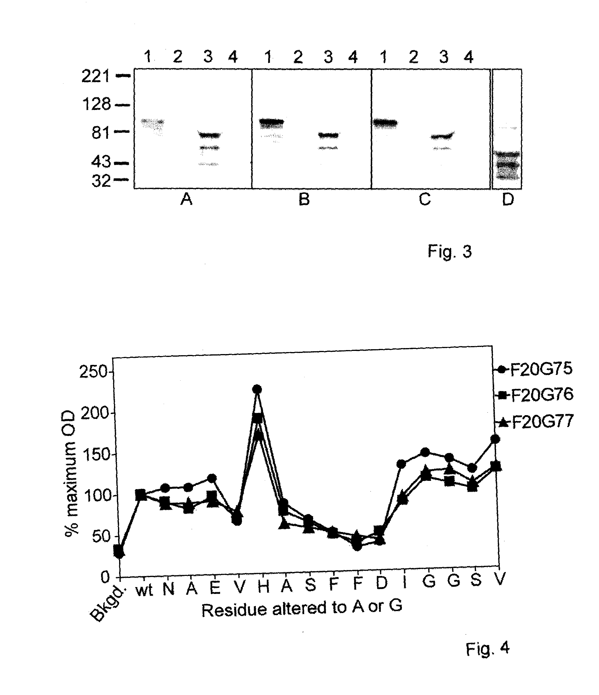 Monoclonal antibodies to anthrax protective antigen