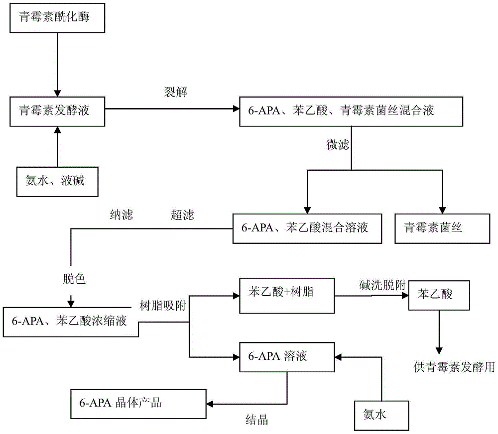 A method for directly preparing 6-aminopenicillanic acid from penicillin fermentation broth