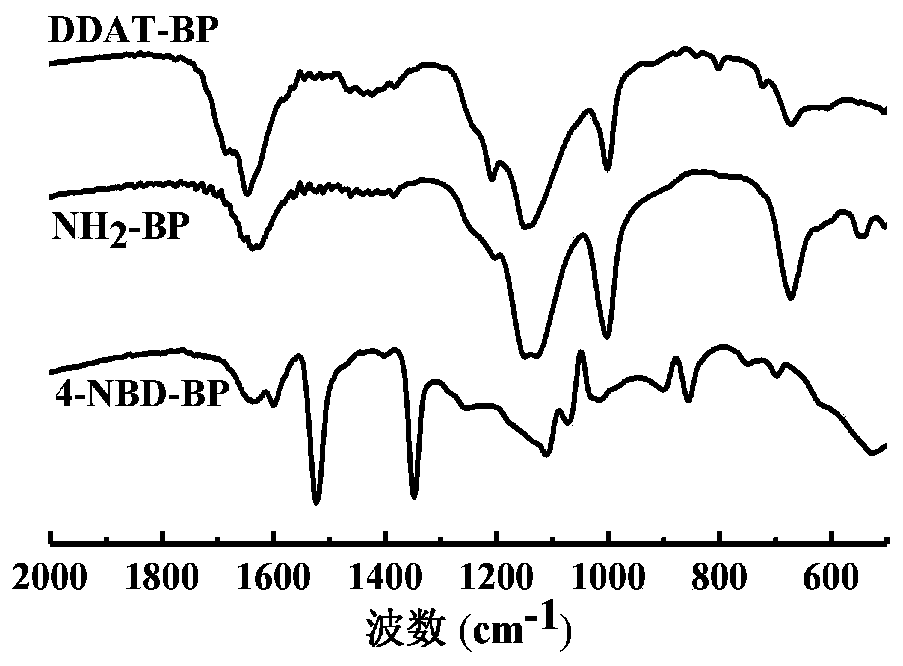 Novel reversible additive-fragment transfer (RAFT) reagent based on black phosphorus and preparation method and application thereof