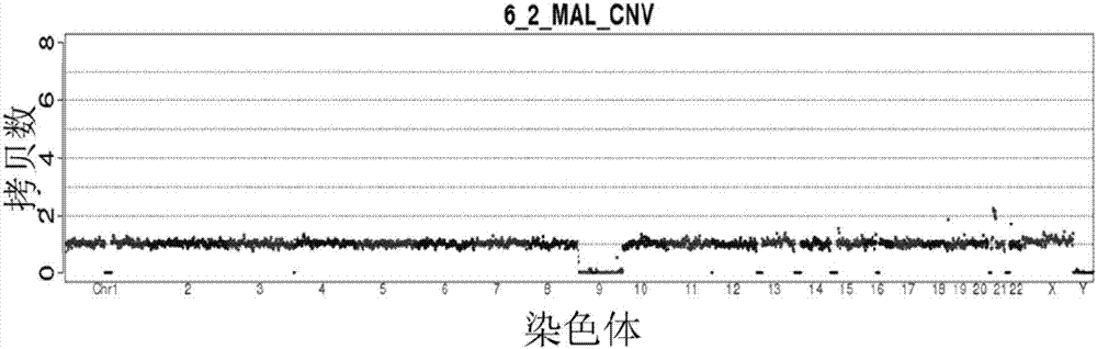 System and method for identifying balanced translocation carrier state of embryo