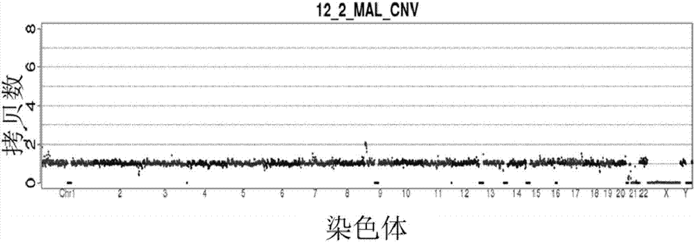 System and method for identifying balanced translocation carrier state of embryo