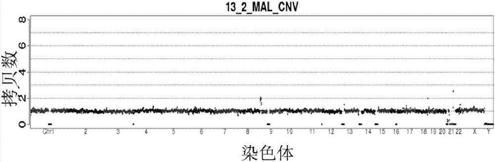 System and method for identifying balanced translocation carrier state of embryo