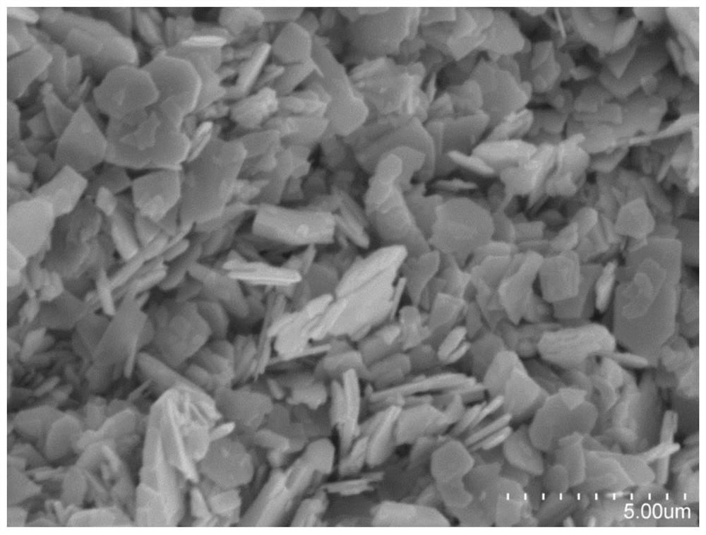 a ce-mof/bi  <sub>2</sub> moo  <sub>6</sub> Heterojunction photocatalyst, preparation method and application thereof