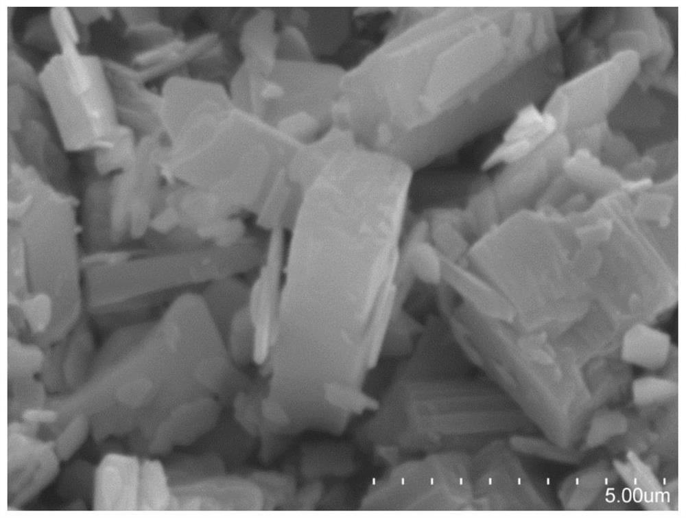 a ce-mof/bi  <sub>2</sub> moo  <sub>6</sub> Heterojunction photocatalyst, preparation method and application thereof